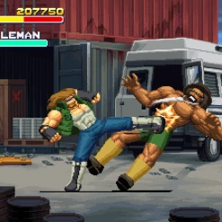 Games Final Vendetta Collector's Edition (PS4)